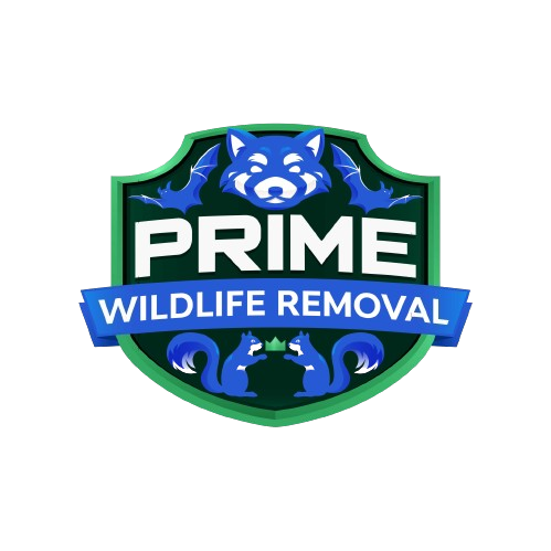 Wildlife Removal Warren County